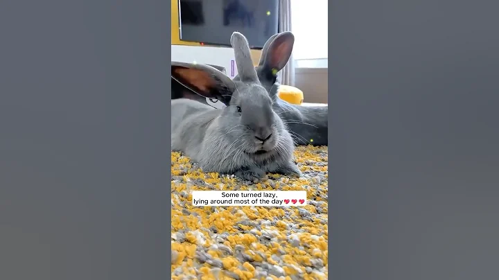 A family discovered a nest of baby rabbits in their garden and then... #rabbit #babyanimal #animals