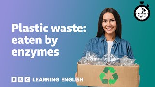 Plastic waste eaten by enzymes ⏲ 6 Minute English