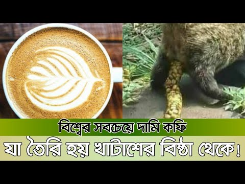 ভিডিও: বিশ্বের সবচেয়ে ব্যয়বহুল কফি