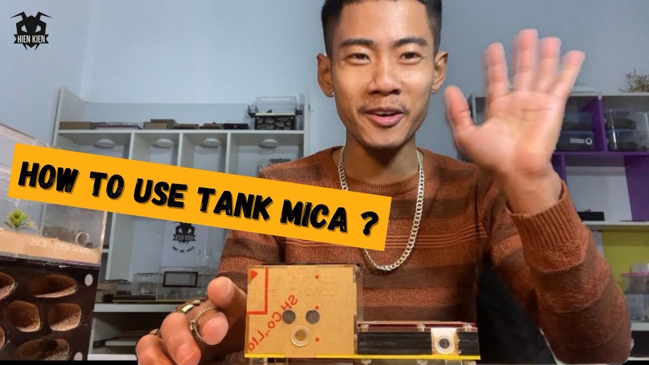 Cách sử dụng tank kiến mica How to use tank mica Tạp Hoá Hiển Kiến