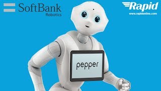 Meet Pepper Robot