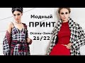 Модный Принт осень-зима 2021-2022 / Тренды расцветок одежды