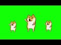 Funny dog dance meme green screen funny memes dog cat