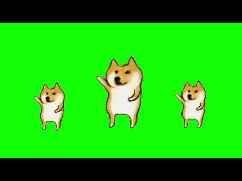 Funny Dog Dance Meme Green Screen Funny Memes Dog Cat