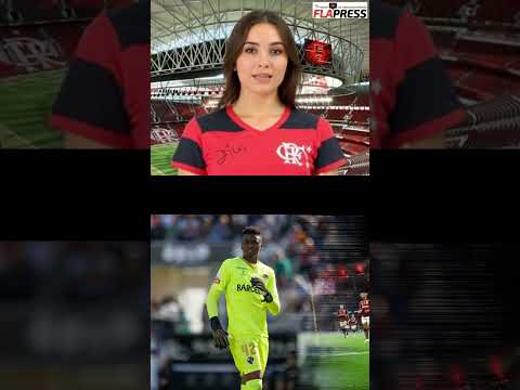 Flamengo busca goleiro: Brazão, Pedro Morisco ou Andrew? Quem será o reserva de Rossi?