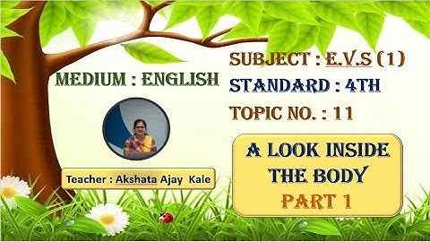 11. A look inside the body Part 1 | 4th E.V.S.(1).