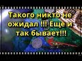 Такого никто не ожидал увидеть в заброшке !!!