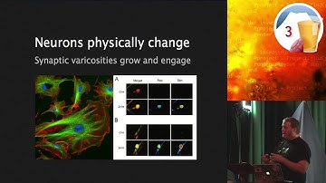 Ruby On Ales 2013 Hacking Cognition by Jonan Scheffler