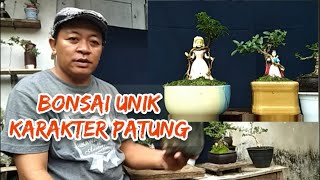 BIKIN BONSAI UNIK SAKURA MIKRO. #bonsai #bonsaiunik