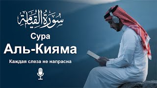 Сура Аль-Кияма سورة القیامه | Успокойте душу с этим прекрасным чтением
