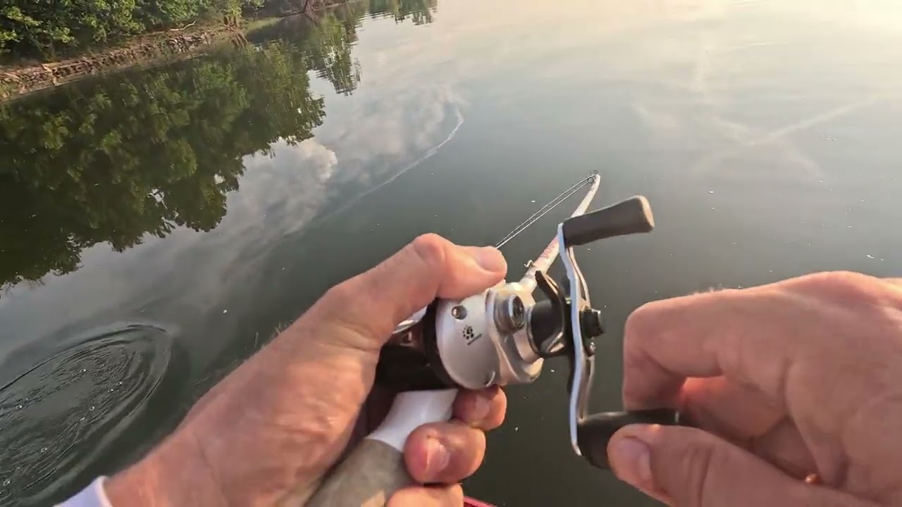 Buzzbait and paddletail fishing on the river #bassfishing #arkansas edit at 1:53