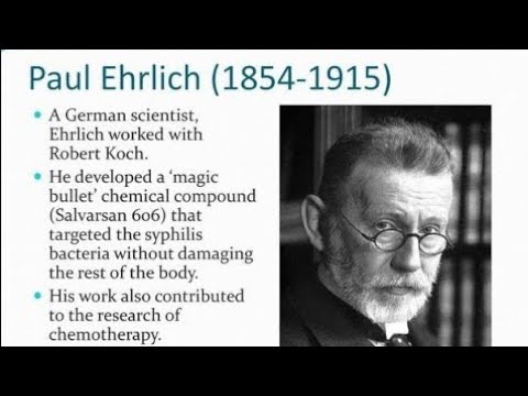 Contribution of Paul