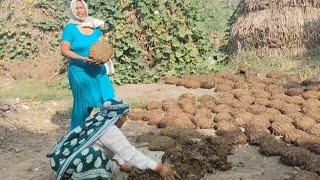 Mother-In-Law And Daughter-In-Law Together Completed This Task Also