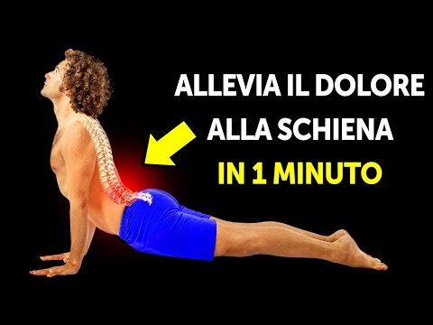 Video: Una Serie Di Esercizi Per Rafforzare I Muscoli Della Schiena. Foto, Video
