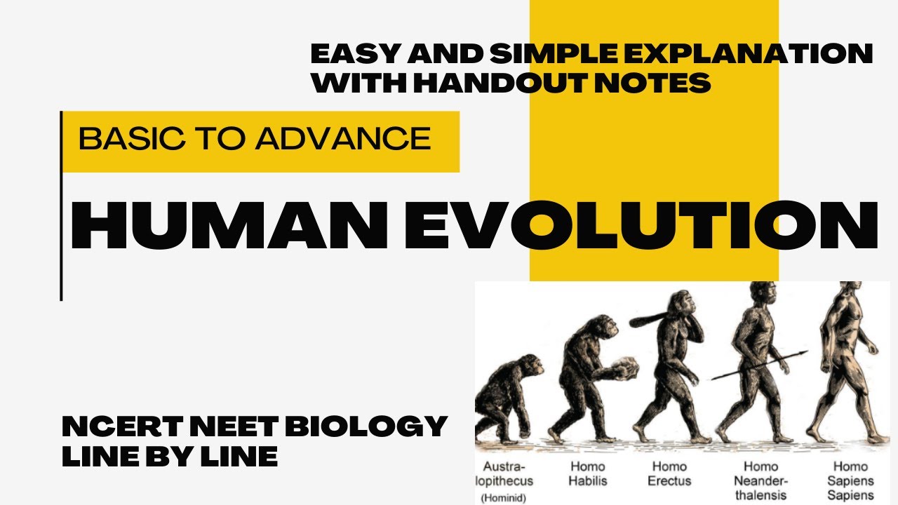 NCERT BIOLOGY | EVOLUTION OF MAN/HUMAN | CLASS 12 NCERT | FOR NeeT ...