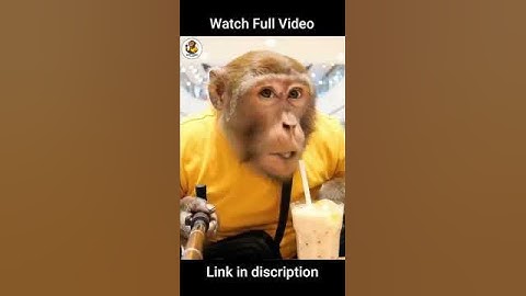 #myfirstvlog #part2 #minivlog #vlog #shortvolog #shorts #funnyshorts