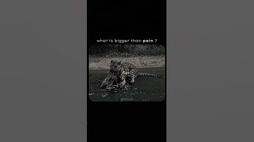 Ego Over Pain: The Unseen Giant #motivation #Mindset #2025goals