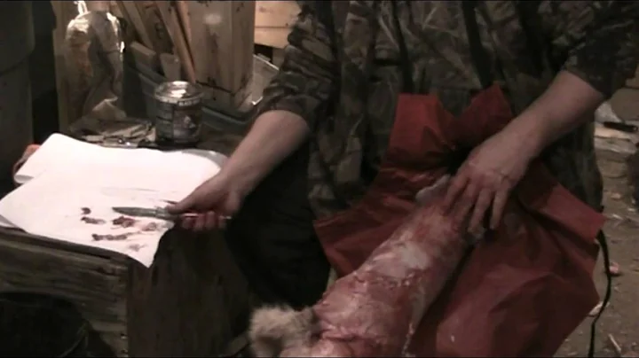 Fur Handling Series: Fleshing a Coyote