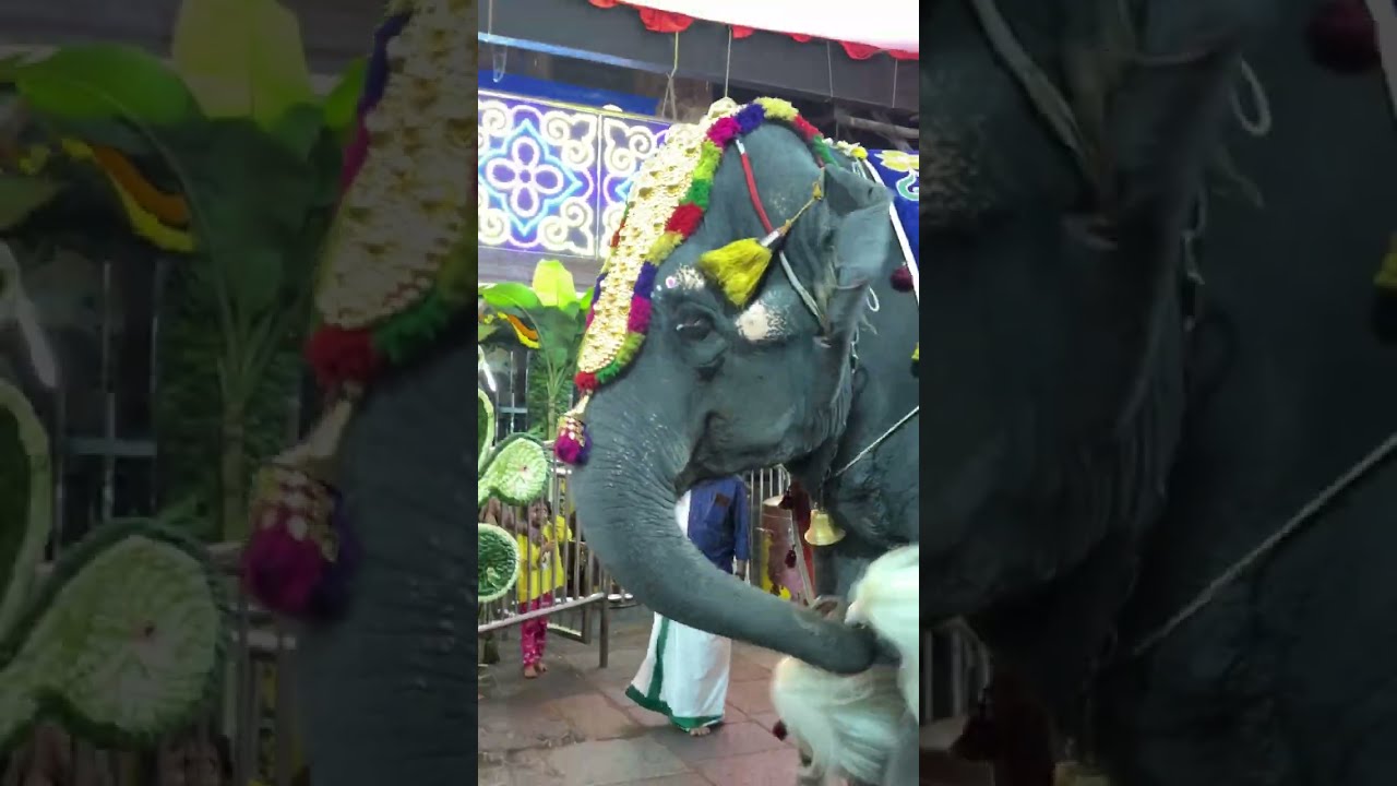 Kuke subramanya swami darshan Travelling South Visit 