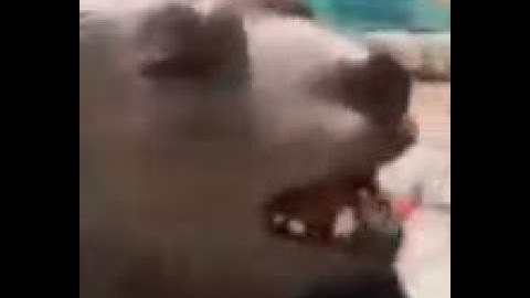 overwatch 2 playing the new epic push gamemode (not bugged at all)