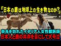 【海外の反応】「日本の鹿は地球上の生き物なの！？」奈良を訪れたイタリア人女性獣医師が鹿と日本人の共生に感動して号泣した理由