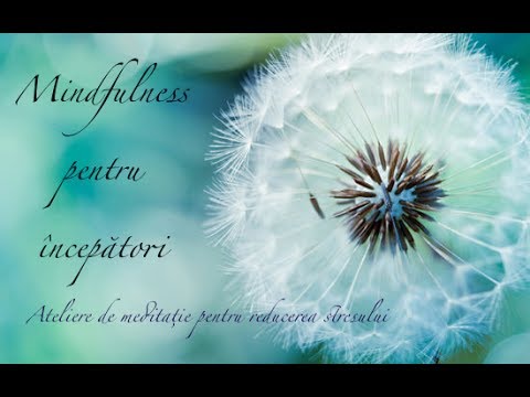 Video: Puterea De Mindfulness - Vedere Alternativă