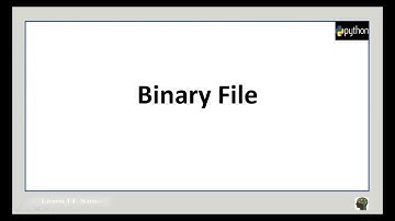Python File Handling - Binary File