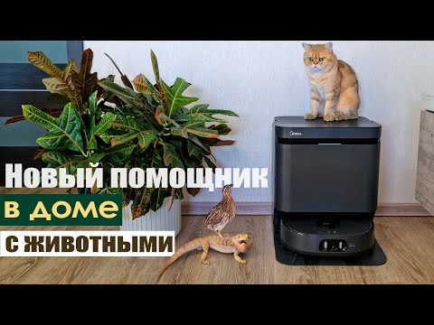 Как мы справляемся с уборкой в доме с животными? Midea VCR V15 Pro Ultra!