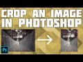 How to Crop an Image in Adobe Photoshop! - Crop Images in Photoshop!