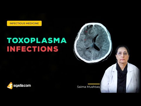 Video: Toxoplasmosis - Treatment With Medicines And Folk Remedies