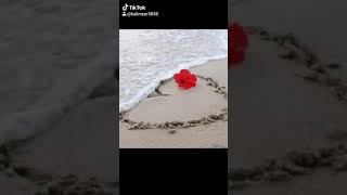 Amatör Be Vicdansız Resimi