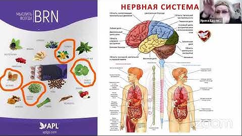 ББС Ирина Бдуленко о ценности продукта APL