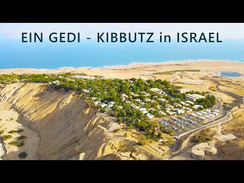 Ein Gedi, İsrail'deki ÖLÜ DENİZ'in batı kıyısında bir KIBBUTZ'dur.