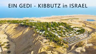 Ein Gedi เป็น KIBBUTZ บนชายฝั่งตะวันตกของ DEAD SEA ในอิสราเอล