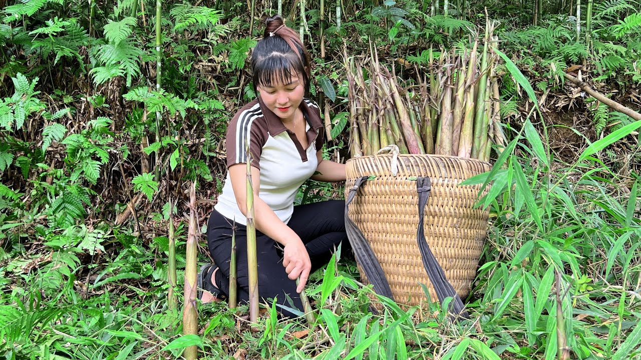 TIMELAPSE: 250 Days in the Forest - Young Girl Builds a New Life Alone ...