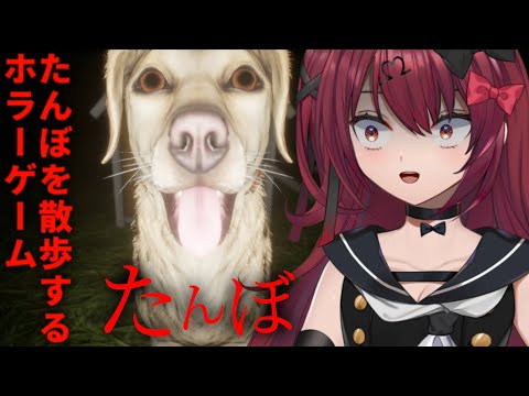 【たんぼ】エンディングが超感動すると話題の、犬と田んぼを散歩するホラーゲームやる【Vtuber】【#生のせみん】