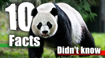 10 Facts you Didn