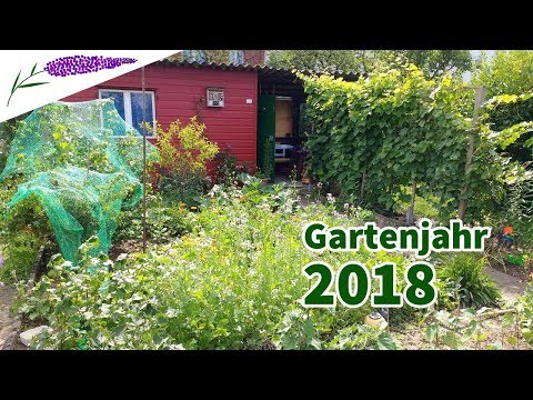 schrebergarten-jahresrückblick-2018