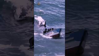Look A Huge Orca Is Chasing Them deepsea deepseamysteries