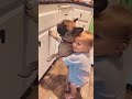 The dog gave all its tenderness to the baby🥰❤️#dog #Love #baby #fyp