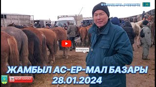 28 қаңтар 2024  Жылқы бағалары / Мал базар Тараз / Mal Bazar kz 🇰🇿 ✅