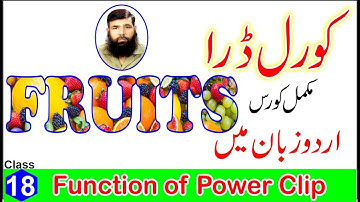 Corel Draw Full Tutorial in Urdu and Hindi Part 18 Power Clip.