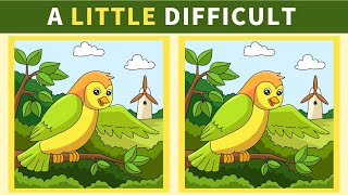 【Spot the difference】Find the differences in 90seconds  Japanese Puzzle 9