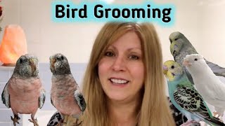 How to tell if your birds nails and beak needs trimming | Grooming your birds nails and Beak