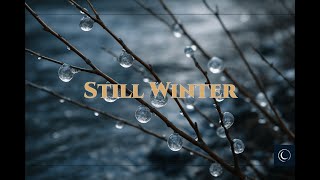 4 Hours Still Winter Ambient Sound for Calm Focus and Sleep