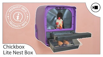 Prevent Egg Eating with a Chickbox Lite Rollaway Nest Box