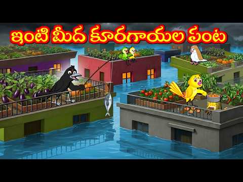 వర్షంలో ఇంటి మీద కూరగాయల పంట Tuni Picchuka | Chicchu Kaki | Bujji | Lucy | Kuhu | Best Birds Stories