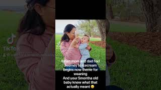 5 Months Old Baby Wanting To Have  Curious Hands Curious Mind 6months arya weaningjourney