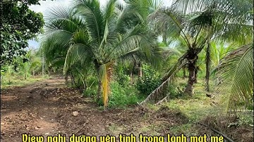 Vườn trái cây .. view suối nghỉ dưỡng ,  vĩnh tân , vĩnh cửu , Đồng Nai . Giá rẻ đầu tư 0334753799