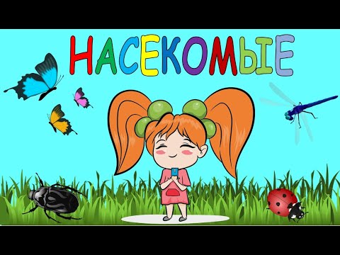 Насекомые. Карточки Домана. Насекомые для детей. Развивающее видео.